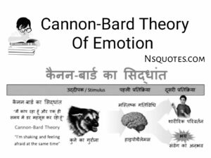 इमोशन क्या है संवेग या भावनाएं का अर्थ? विशेषताएं, प्रकार, सिद्धांत Best Guide » NS Quotes इमोशन क्या है संवेग या भावनाएं का अर्थ